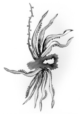 Mariëlle Videler | Artist