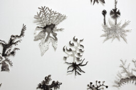 Mariëlle Videler | Artist