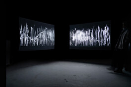 Mariëlle Videler | Artist