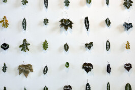 Mariëlle Videler | Artist
